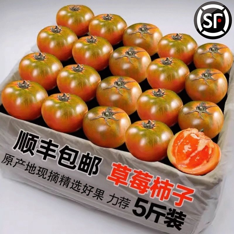 口感西红柿草莓西红柿支持一件代发整车专业打包