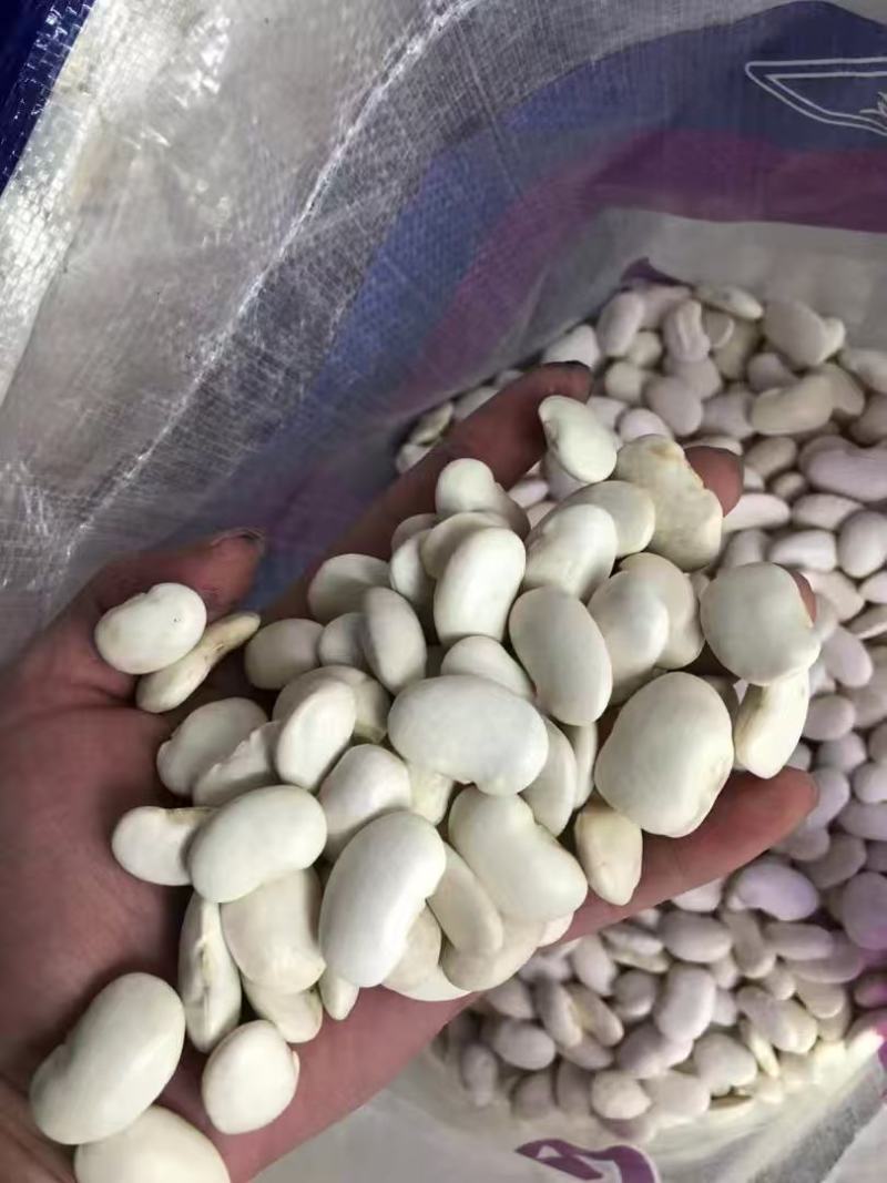 白芸豆大白芸豆，大白扣食品原料彩袋包装白芸豆
