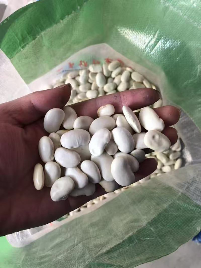 白芸豆大白芸豆，大白扣食品原料彩袋包装白芸豆