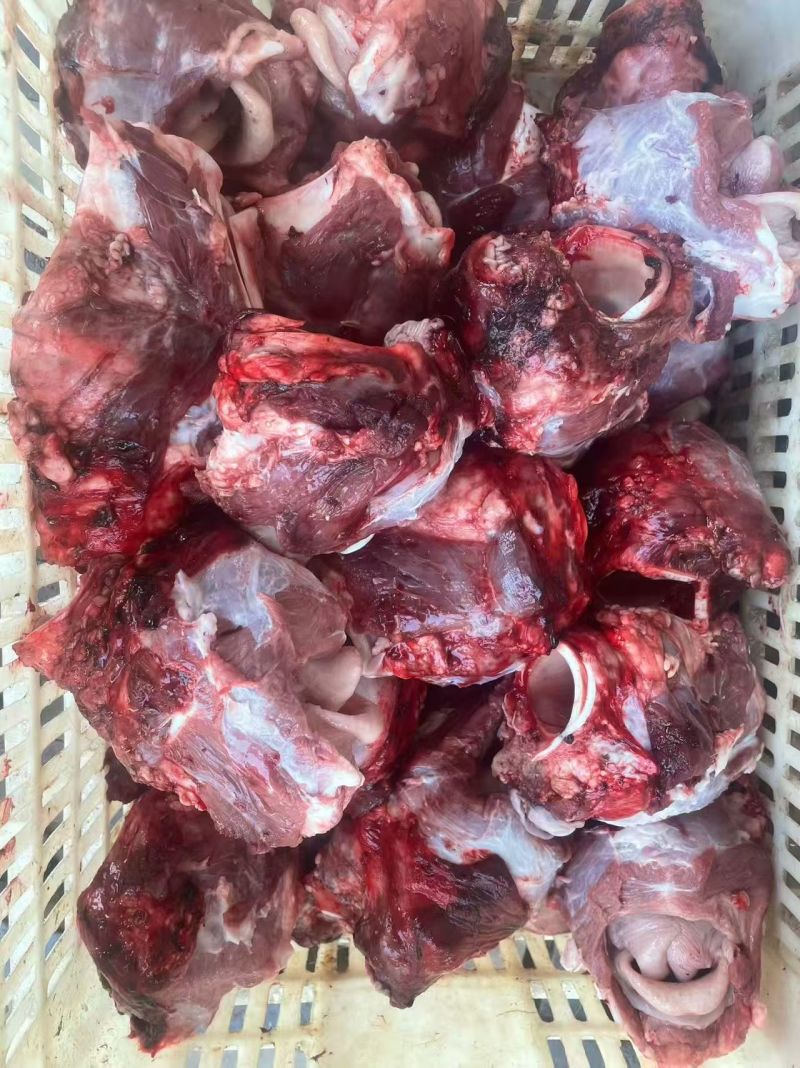 满肉牛喉头源头厂家直发货源稳定质量好价格优