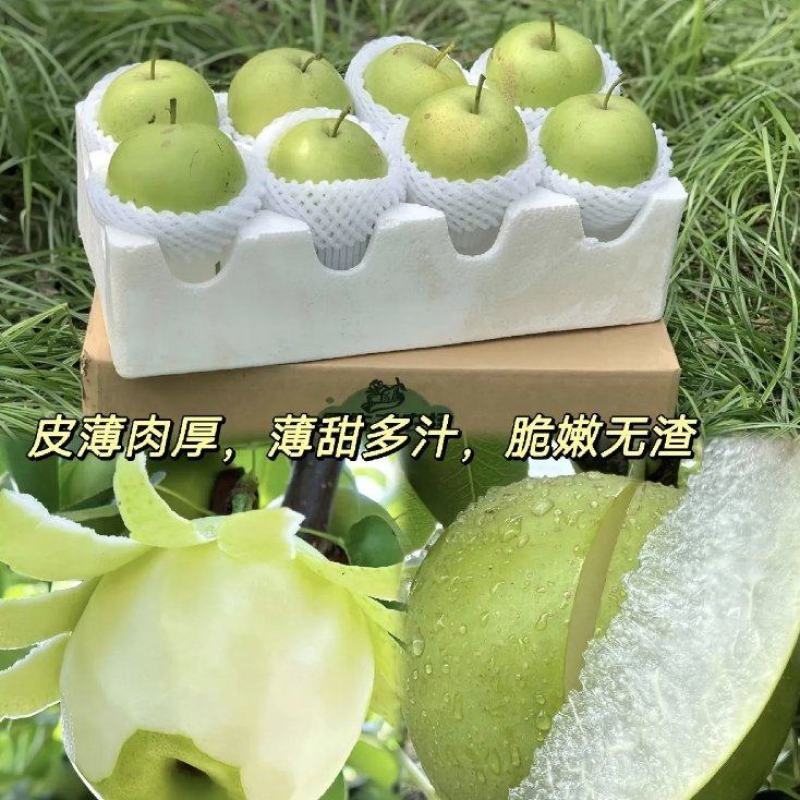 梨，翠冠梨，纯甜无渣，电商，社区团购，出口，产地直发