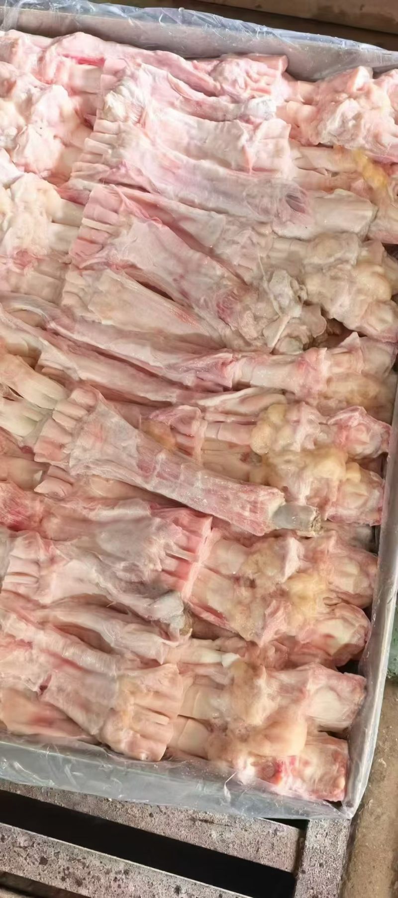 牛主筋源头工厂直发质量好走货快全程冷链发货