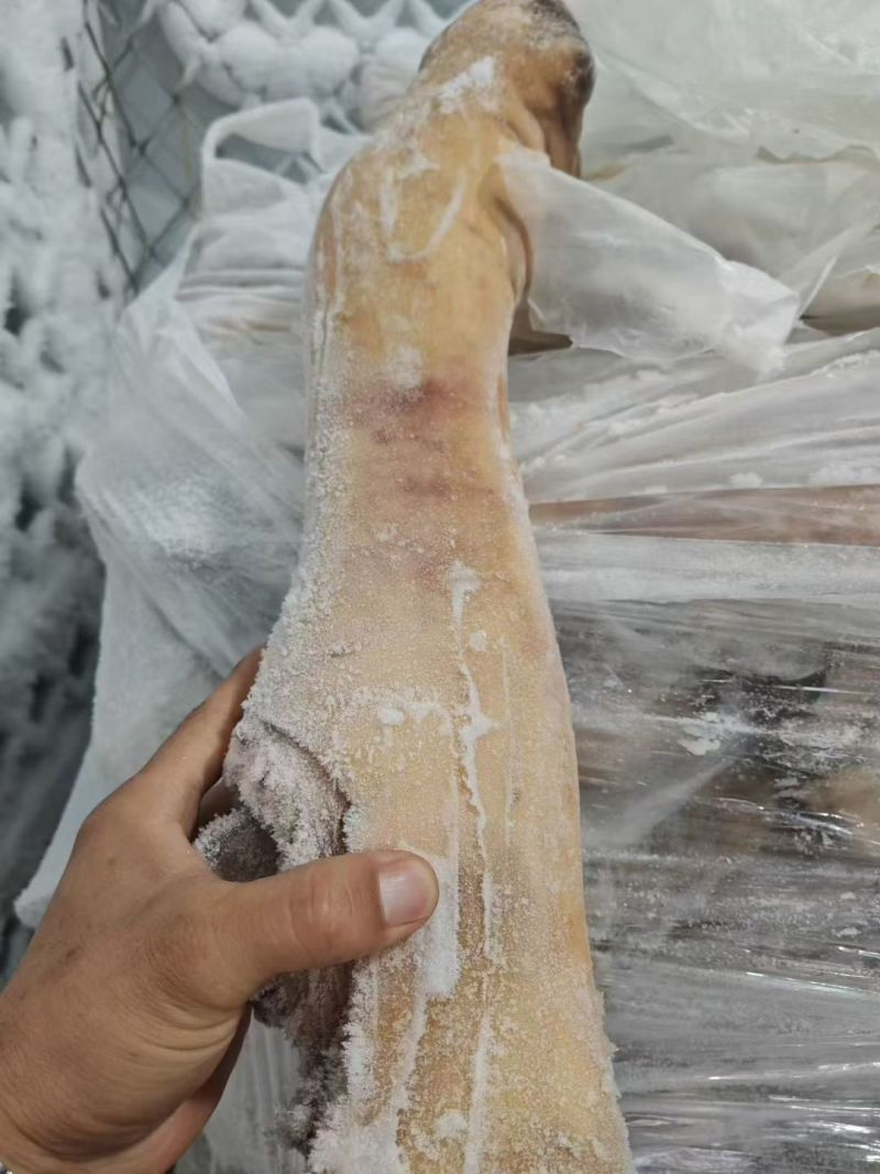 火烧牛蹄牛蹄块源头工厂全国冷链发货量大价优欢迎