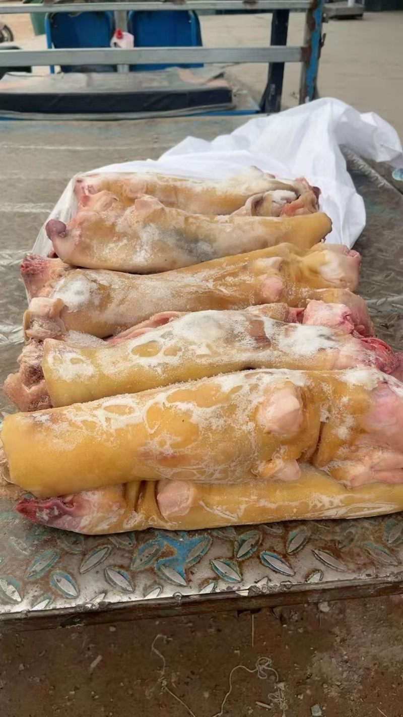 火烧牛蹄牛蹄块源头工厂全国冷链发货量大价优欢迎