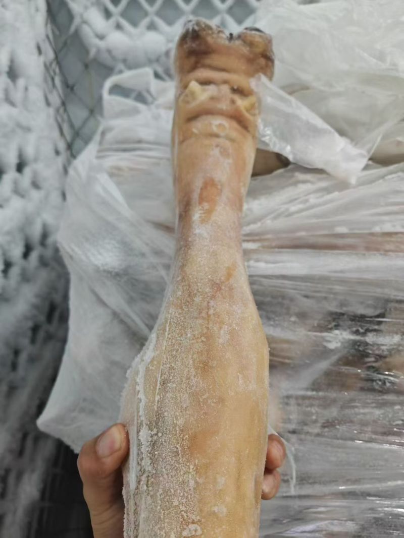 火烧牛蹄牛蹄块源头工厂全国冷链发货量大价优欢迎