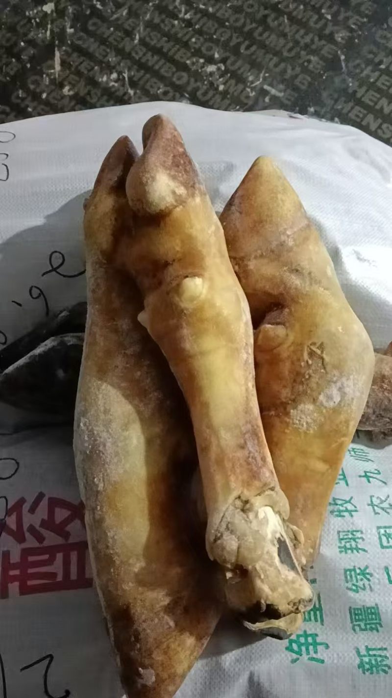 火烧牛蹄牛蹄块源头工厂全国冷链发货量大价优欢迎