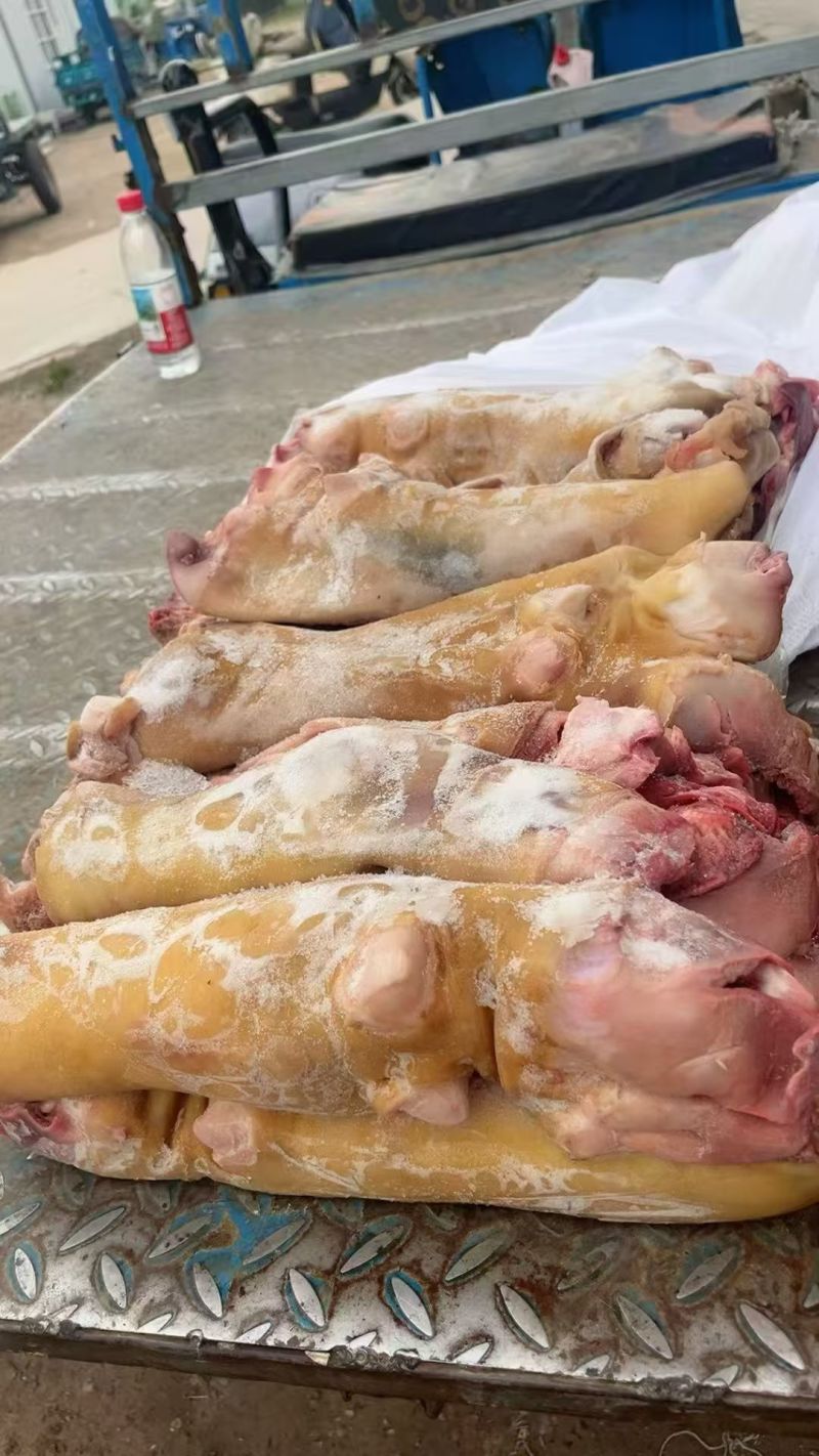 火烧牛蹄牛蹄块源头工厂全国冷链发货量大价优欢迎