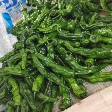 牛角椒，线椒，螺丝椒，圆椒，大小皱皮