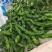 牛角椒，线椒，螺丝椒，圆椒，大小皱皮