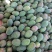 凯特芒攀枝花凯特芒一级果二级果电商果，统货，一件代发