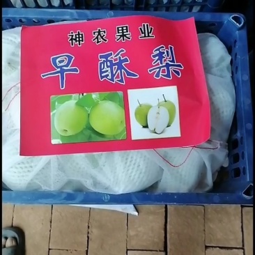 酥梨-