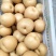 丰水梨纸袋350~400g