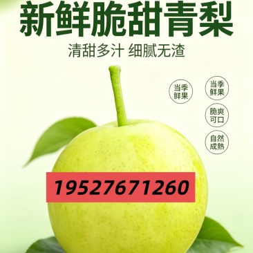 云南红河丁香梨市场货、电商货一件代发