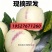 云南石林早熟、树熟人参果。支持电商、市场等各种规格发货。
