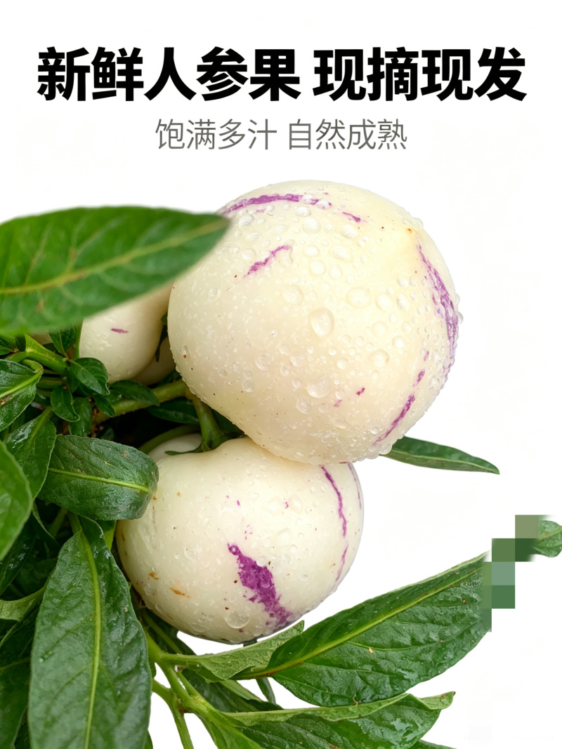 云南石林早熟、树熟人参果。支持电商、市场等各种规格发货。