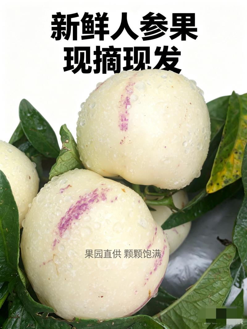 云南石林早熟、树熟人参果。支持电商、市场等各种规格发货。