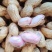 2026新鲜花生红薯土豆辣椒对接各大平台