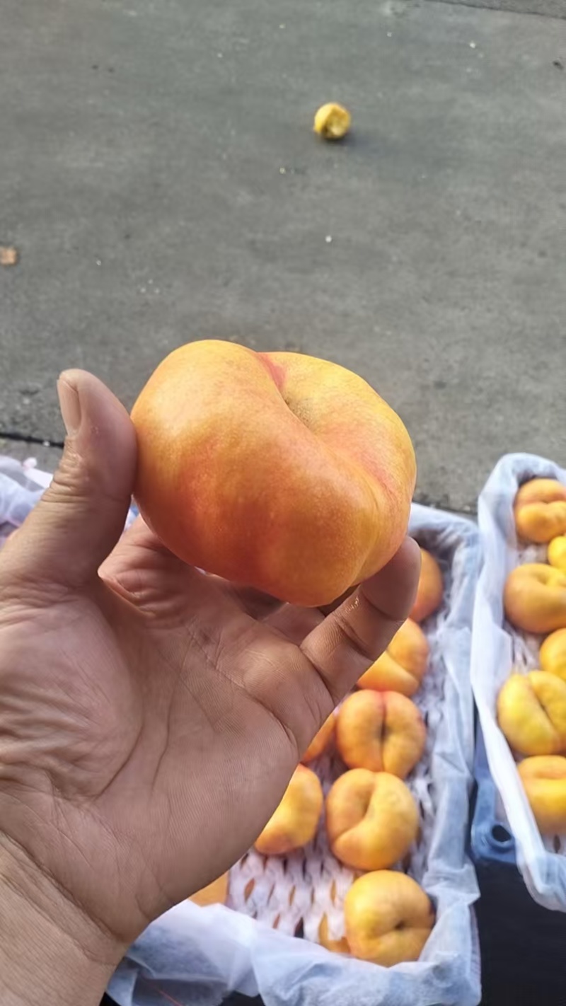 蟠桃四万斤出售