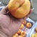 蟠桃四万斤出售