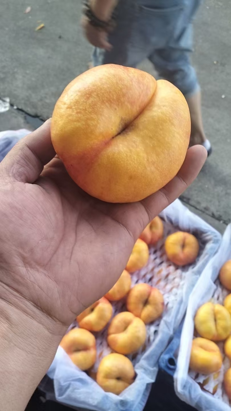 蟠桃四万斤出售
