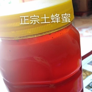 中华秦岭土蜂蜜