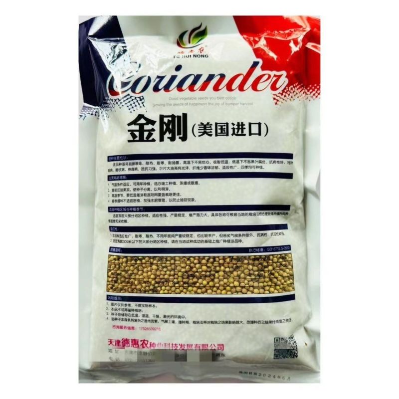 四季大叶香菜籽阳台盆栽四季耐热芫荽种子蔬菜种孑农家庭院菜