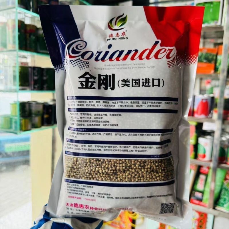 四季大叶香菜籽阳台盆栽四季耐热芫荽种子蔬菜种孑农家庭院菜