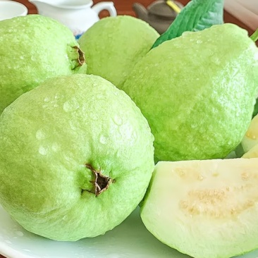 台湾白心珍珠芭乐