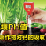 中微量元素水溶肥钙镁硼锌铁螯合型颗粒剂