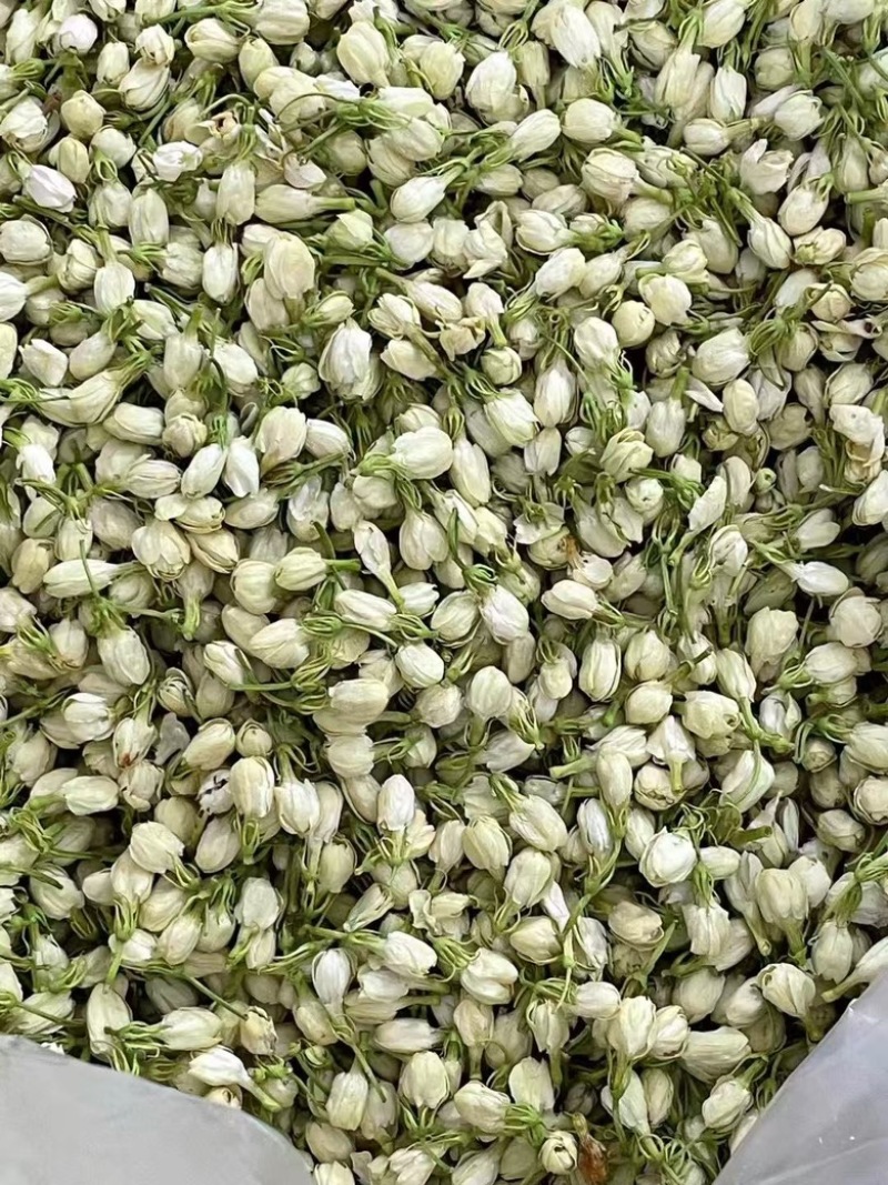 横县茉莉花蕾干