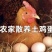 新鲜的土鸡蛋，有老板需要的联系我价格可谈客优惠可长期