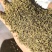 新疆孜然（可磨粉，细粉、半颗粒等）