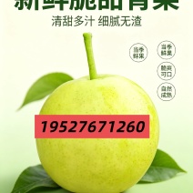 云南红河泸西蜂糖梨、丁香梨、早白蜜