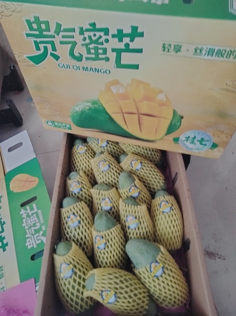 百色田东桂七芒，好吃的芒果不愁卖