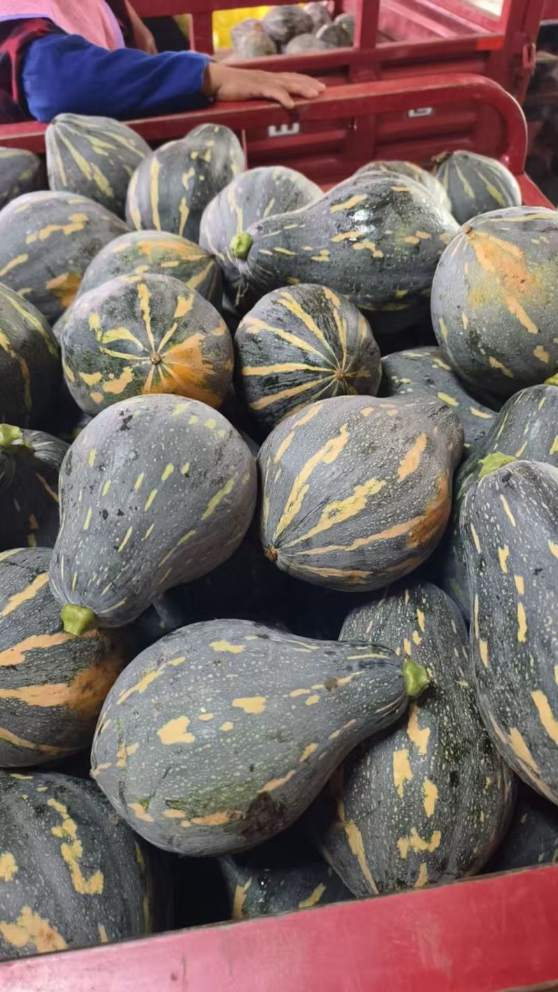 湖南精品香芋南瓜香味十足够粉，诚信经营有回头车