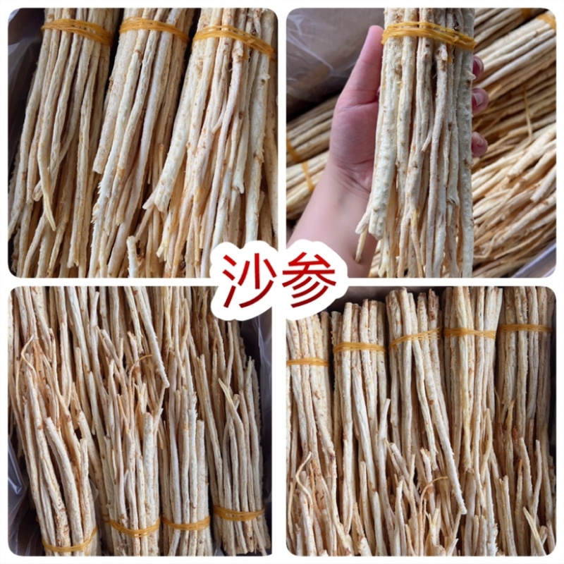 北沙参地摊电商批发批发内蒙古特产沙参条沙参干