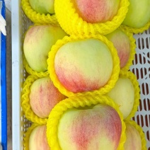 满城苹果