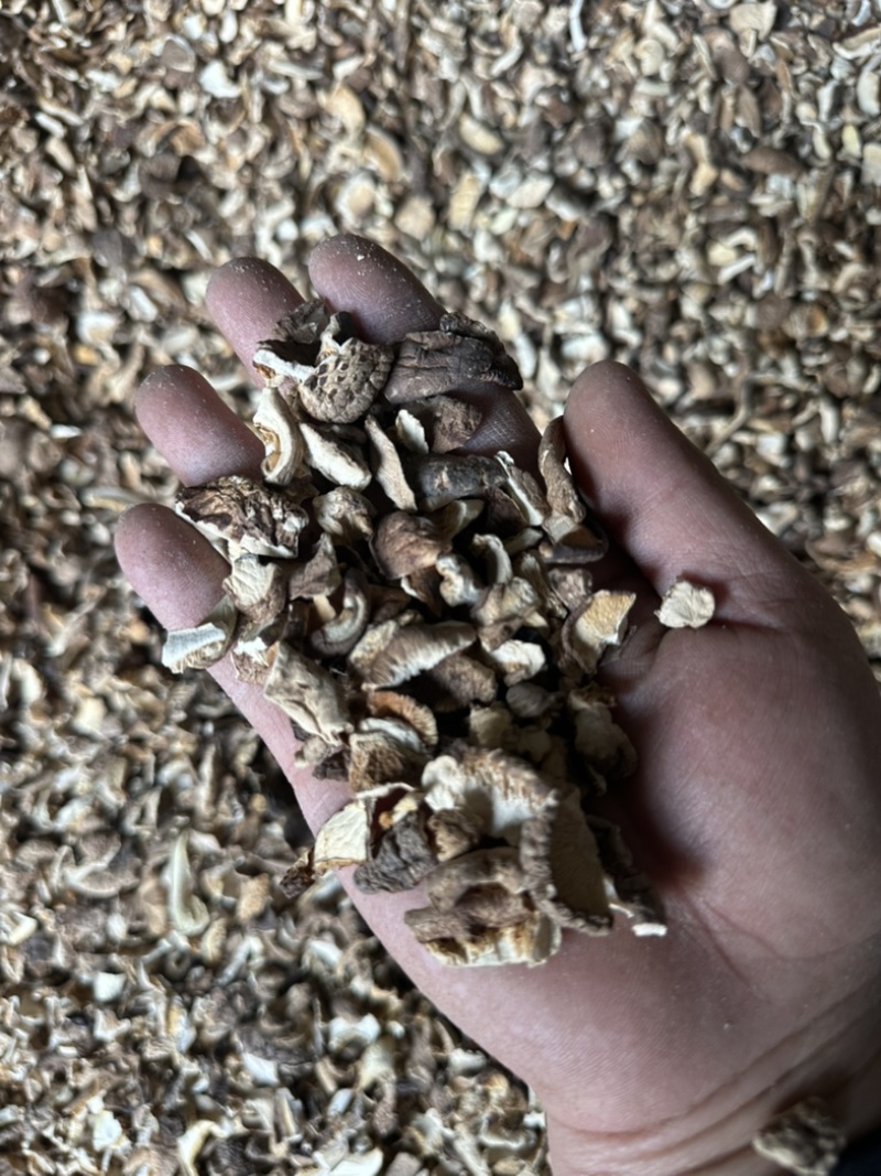 干香菇碎片香菇大片香菇香菇小碎片干香菇香菇片