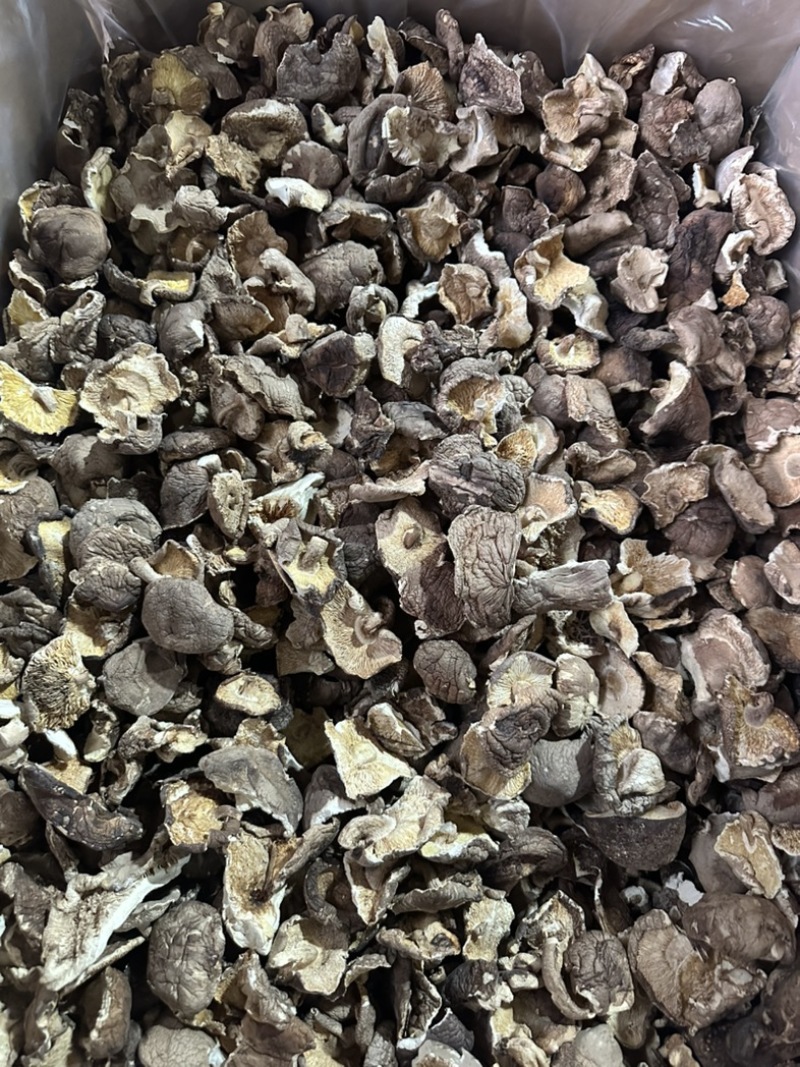 干香菇碎片香菇大片香菇香菇小碎片干香菇香菇片
