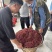 汉源花椒