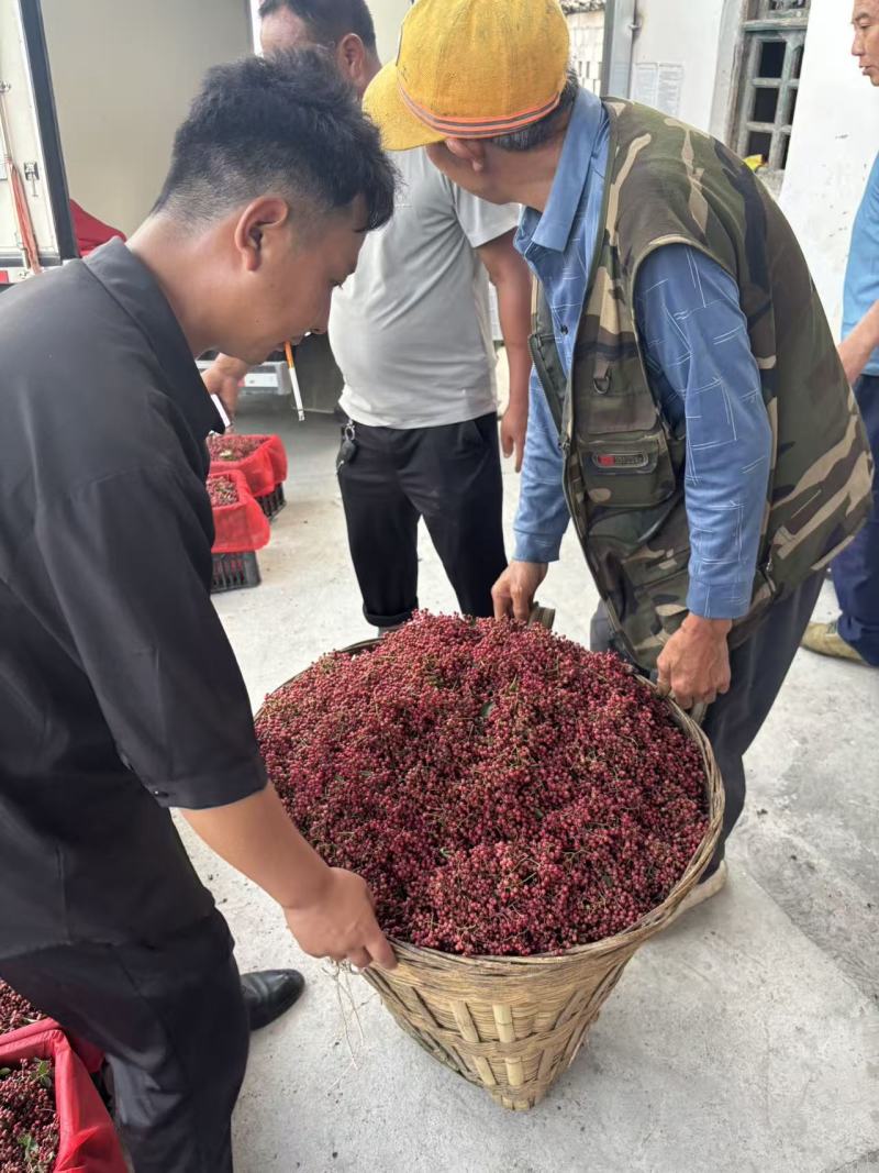汉源花椒