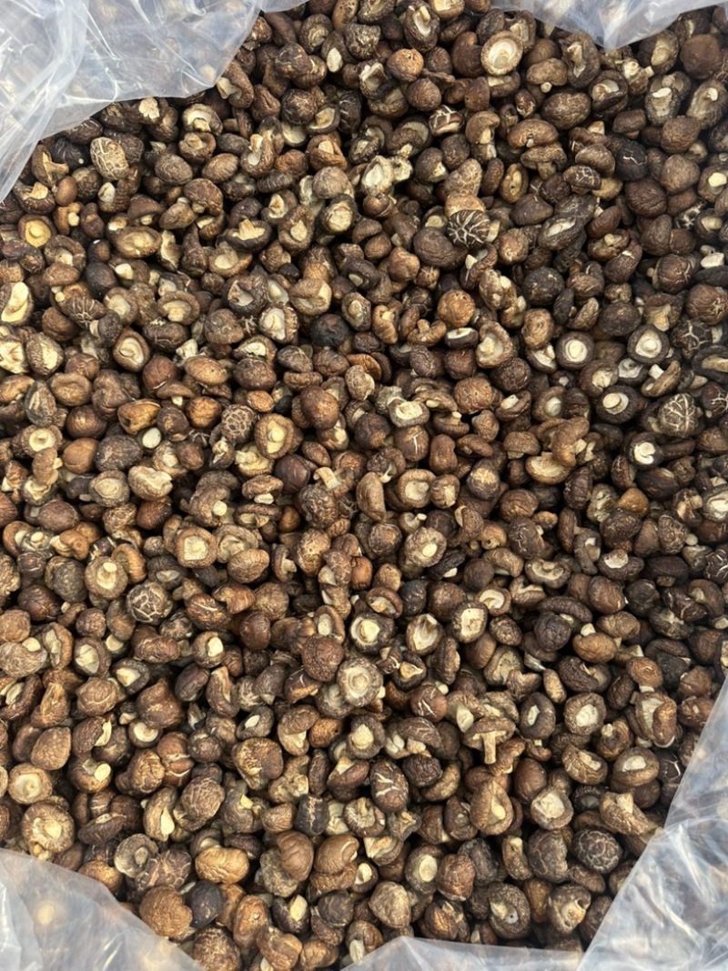 泌阳香菇油面干香菇产地直供大量供应规格齐全