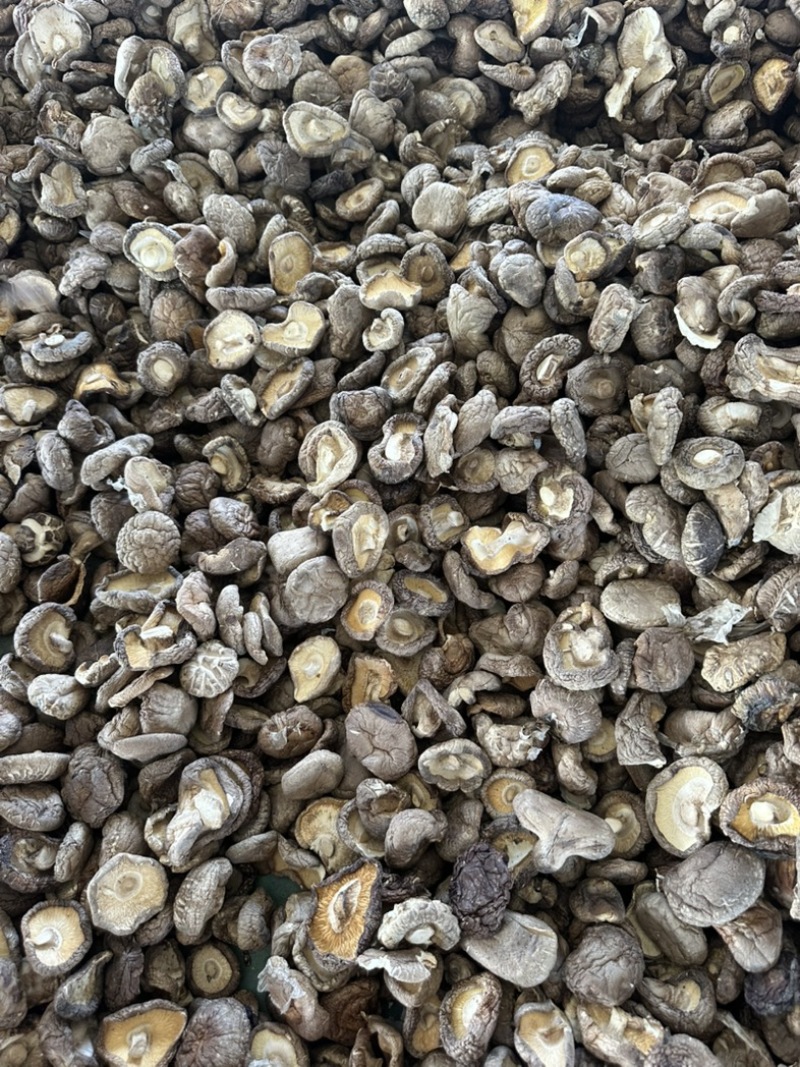 干香菇电商香菇食用菌香菇干蘑菇蘑菇干常年大量供应
