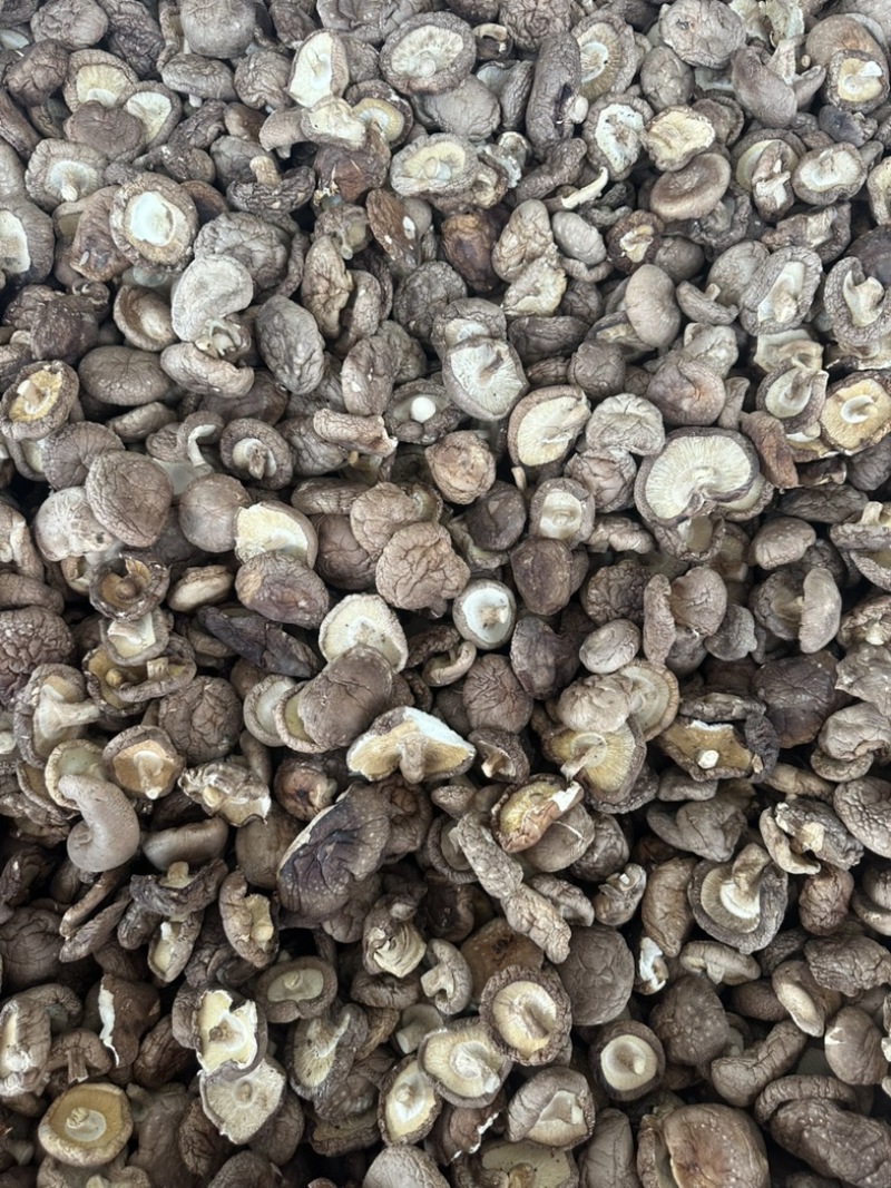 干香菇电商香菇食用菌香菇干蘑菇蘑菇干常年大量供应