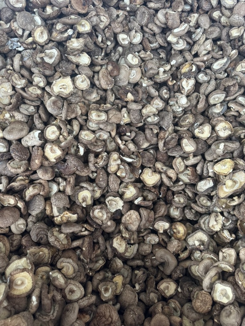 干香菇电商香菇食用菌香菇干蘑菇蘑菇干常年大量供应