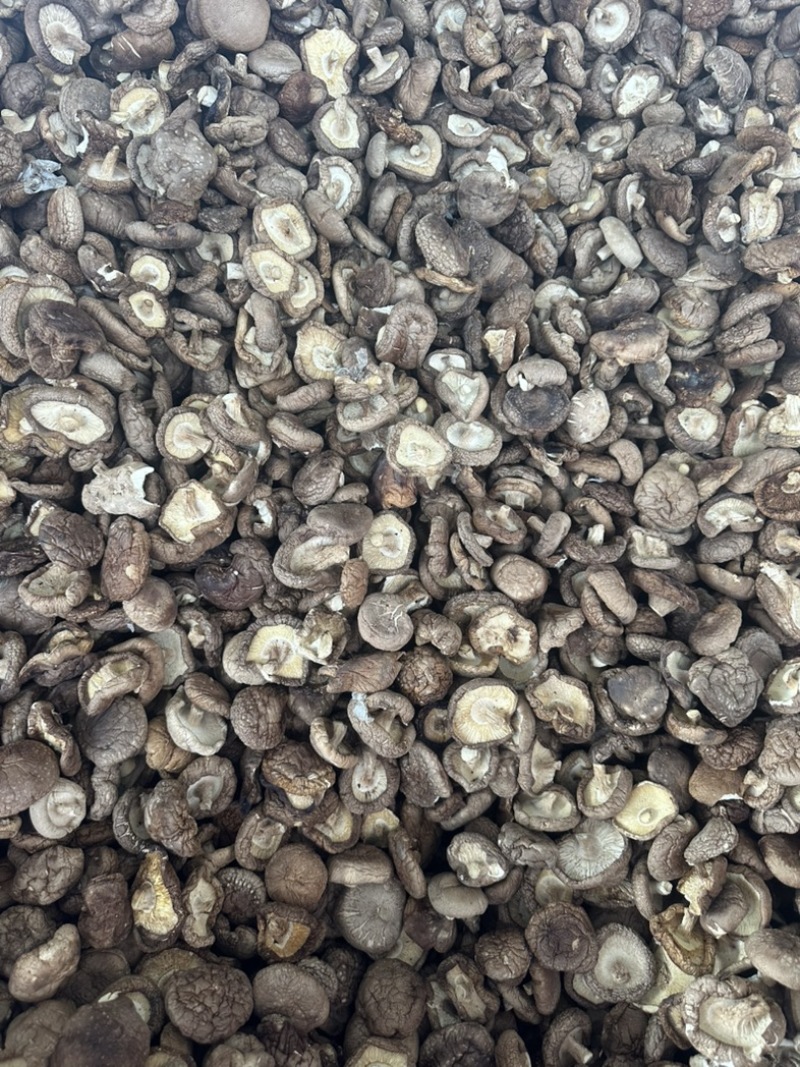 干香菇电商香菇食用菌香菇干蘑菇蘑菇干常年大量供应