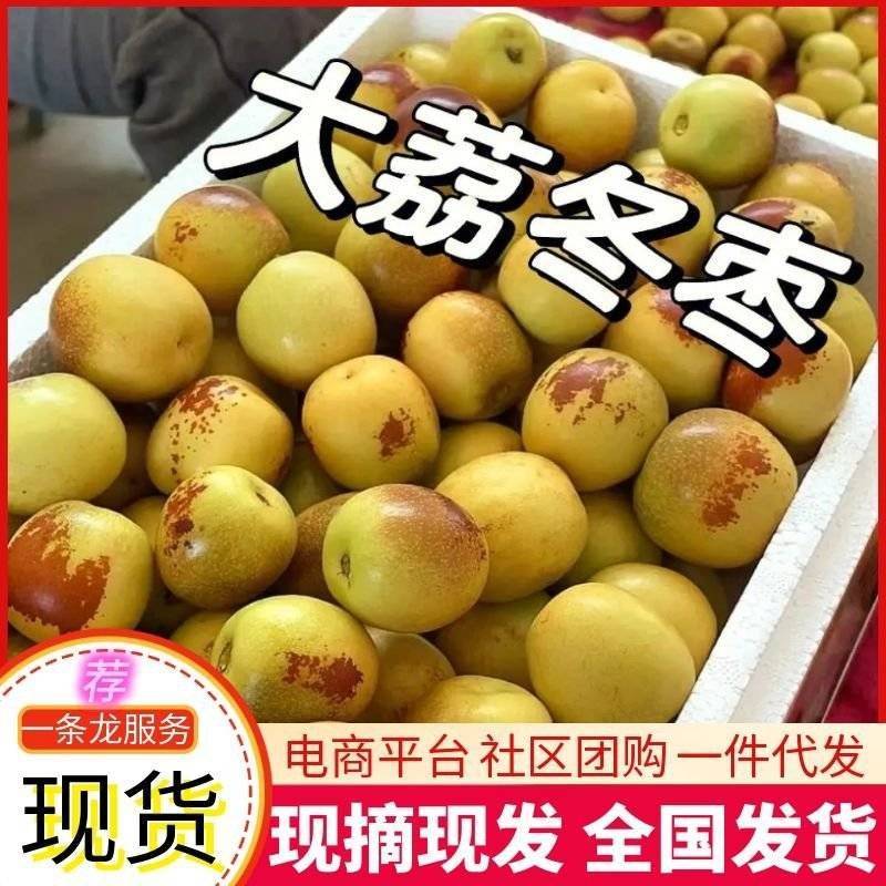 《冬枣》产区直发/对接电商/市场、出口欢迎前来洽谈