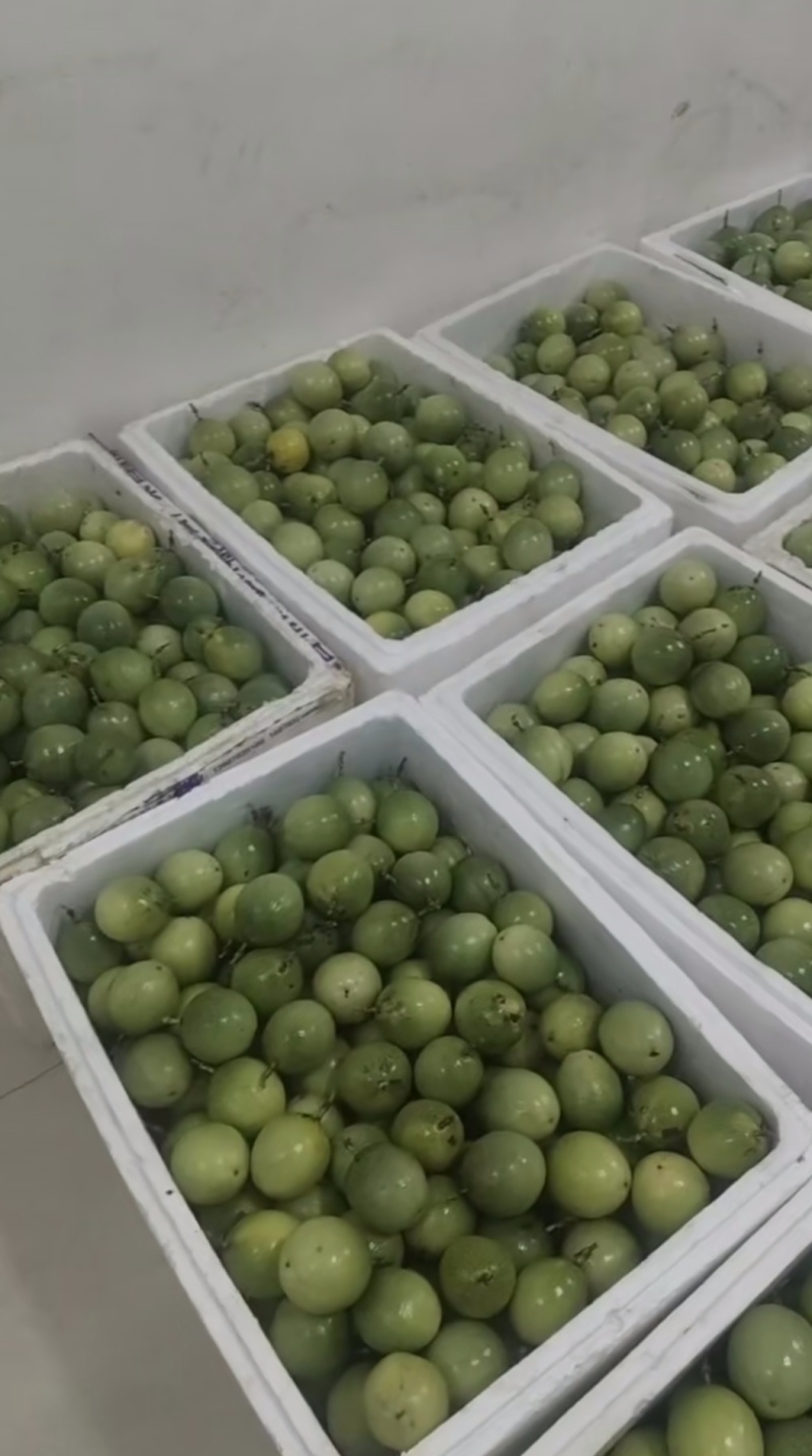 黄金百香果，软蜜九号