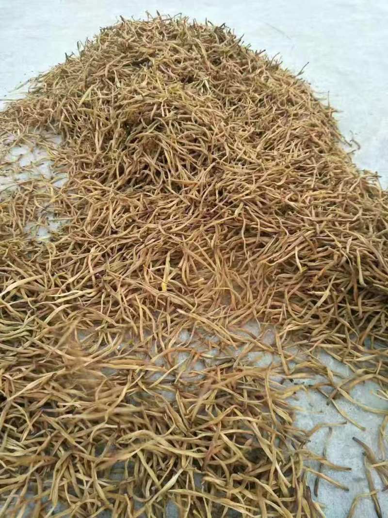 河北省保定市顺平县熟条黄花菜金针菜大量现货20吨