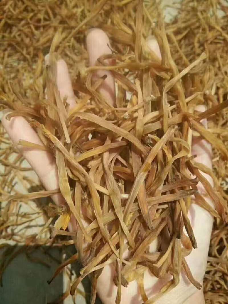 河北省保定市顺平县熟条黄花菜金针菜大量现货20吨